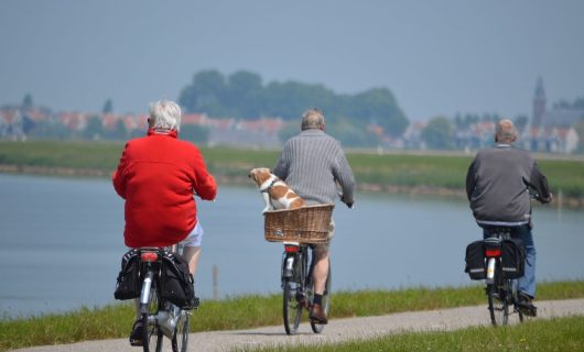 active-cyclist-elderly-264073